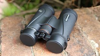 Image shows the Celestron TrailSeeker 8x42 binoculars resting on a brick wall.