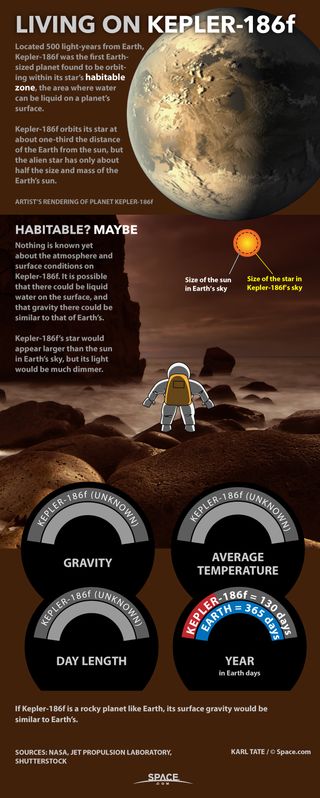 At last humans are able to make educated guesses about what living on alien worlds might be like. See what we know about alien planet Kepler-186f.