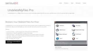 Skärmdump av hemsidan till UnDeleteMyFiles Pro