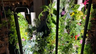 A close up an indoor garden incubator