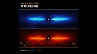 The James Webb Space Telescope studied the planet forming disk of dust surrounding a small young star.