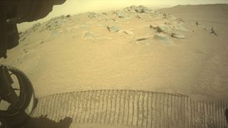 Taken by NASA's Perseverance rover on Nov. 18, 2024, this image shows the rocks from the "Pico Turquino" ridge along the rim of Mars' Jezero Crater.