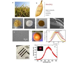 Creating QD LEDs from rice husks