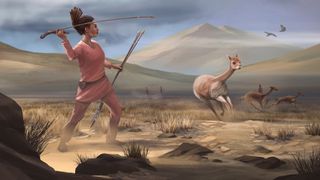 Artistic reconstruction of a vicuña hunt in Wilamaya Patjxa.