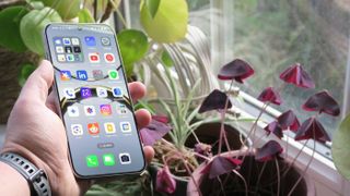 Oppo Find X8 review front angled handheld plants