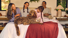 Family sitting on bed with dog