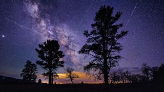 meteors streaking over a forest scene at night