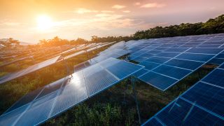 Image of a field of solar panels at sunset