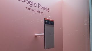 Google Pixel 6 phones on display