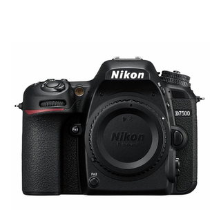 Nikon D7500