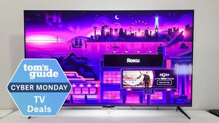 Roku 55" Plus TV with Cyber Monday badge