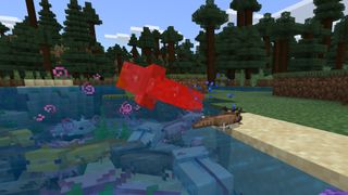 Minecraft 1.17 Axolotl