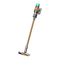 Dyson V12 Detect Slim