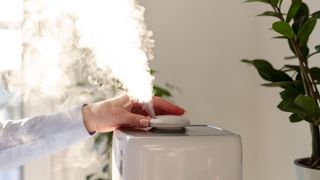 Close-up of woman using humidifier at home