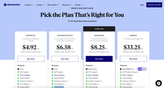 screenshot of elementor pricing
