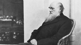 Clack-and-white photograph of Charles Darwin sitting in a chair. Darwin is old and has a long white beard.