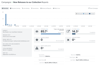 Klaviyo campaign monitoring