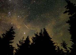 A Perseid meteor seen in a 30-second exposure image captured in Spruce Knob, West Virginia, on Aug. 11, 2021.