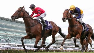 So Unusual (NZ) ridden by Dean Holland wins prior to the 2023 Melbourne Cup live stream.