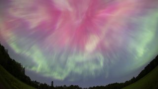 A wide-angle shot of a pink and green aurora with the silhouette of trees on the horizon