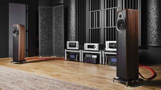 the sonus faber maxima amator speakers