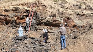 four humans stand near a rocky face, their backs all turned. two wear wide-brimmed hats, with the other two with draped head coverings. one stands on the lower rung of a ladder leaned against the jagged rock wall. 