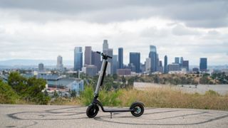 Levy Plus at an overlook in Los Angeles