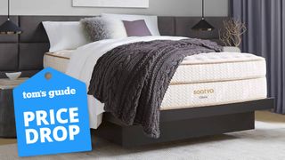 Saatva mattress sale