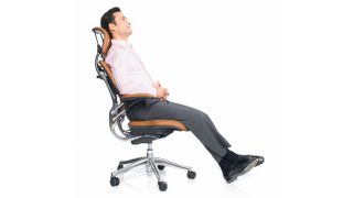 Humanscale Freedom