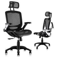 Gabrylly Ergonomic Mesh Office Chair: was $270 Now $188 at AmazonSave $82