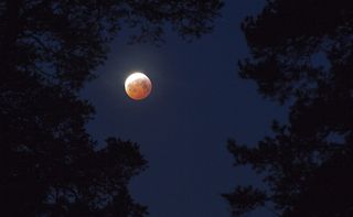 Total Lunar Eclipse 2019