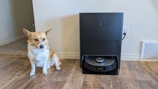 Corgi next to ECOVACS Deebot X1 OMNI