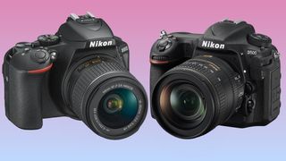 Nikon D5600 and Nikon D500 DSLRs on a pink-blue graduated background