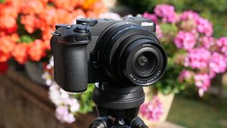 Nikon Z30 camera on a tripod in front of some flowers