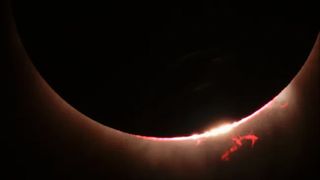 A close-up of the sun's disk during a total eclipse reveals fiery solar prominences.