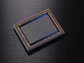 Nikon d800 sensor