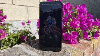 Asus Zenfone 8