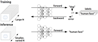 Neural network trained to find human faces