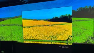 Samsung S95C OLED TV