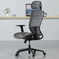 Flexispot OC3B executive ergonomic office chair: was $200Now $160 at AmazonSave $40