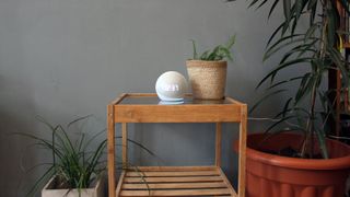 Amazon Echo Dot with Clock (2020) pictured on a wooden table next to a plant.