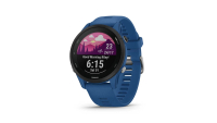 Garmin Forerunner 255