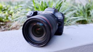 Canon EOS R5 kivetyksellä puutarhassa