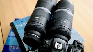 Canon RF 600mm and 800mm f/11 super telephoto lenses