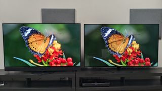 Panasonic MZ1500 y Philips OLED809 mostrando una mariposa en pantalla