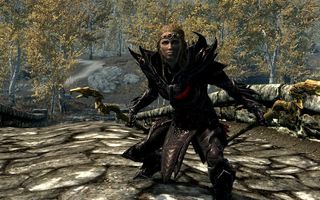 Skyrim companions: Mjoll