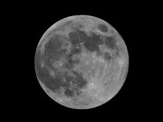 Harvest Moon of September 2014 Over Florida