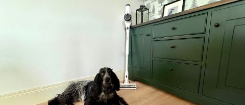 Dog in reviewer&#039;s home, sat in front of Tineco Pure One X Pet vacuum cleaner