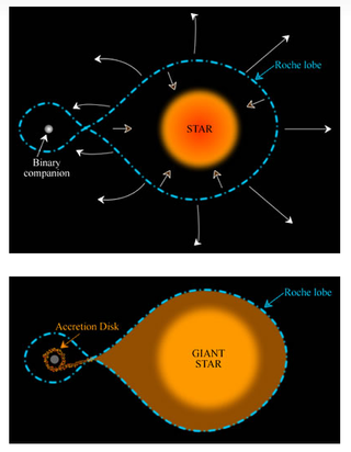 A diagram shows how a star swells to fill its Roche lobe and feed material to a companion star