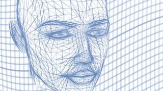 Face wireframe image